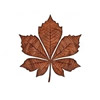 Old Maple