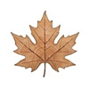 Hard Maple