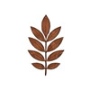 Sapele