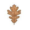 White Oak